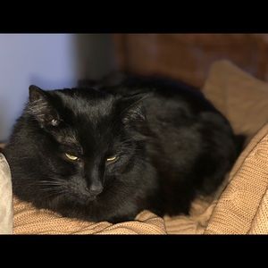 Meet your Posher, Heather